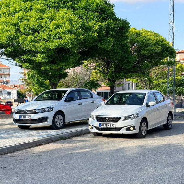 compact car green nature